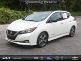 Used 2019 Nissan Leaf SL Plus image 2