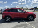 New 2025 Ford Escape ST-Line w/ Tech Pack #1 image 2