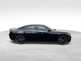 Used 2022 Dodge Charger SXT w/ Blacktop Package image 3