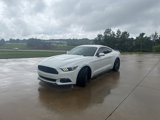 Used 2017 Ford Mustang Premium w/ Wheel & Stripe Package image 4