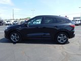 Used 2024 Ford Escape ST-Line image 5
