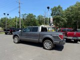 Used 2013 Ford F150 Platinum image 3