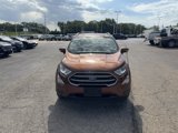 Used 2020 Ford EcoSport SE image 2