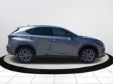 Certified 2021 Lexus NX 300 F Sport image 3
