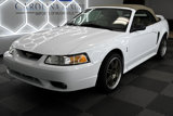 Used 1999 Ford Mustang Cobra image 2