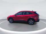 New 2025 Ford Escape ST-Line image 6