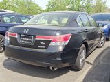 Used 2012 Honda Accord SE image 4