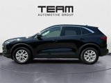 Used 2024 Ford Escape Active image 5