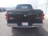 Used 2008 Dodge Ram 1500 Truck SLT w/ Popular Equipment Group image 6