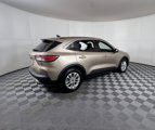 Used 2020 Ford Escape SE image 4