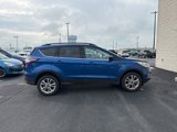 Used 2017 Ford Escape SE w/ Equipment Group 201A image 4