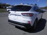 Certified 2022 Ford Escape SEL image 6