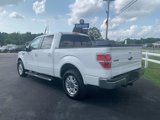 Used 2014 Ford F150 Lariat w/ Equipment Group 502A Luxury image 4