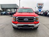 Used 2021 Ford F150 XLT w/ Equipment Group 302A High image 2