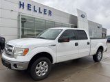 Used 2013 Ford F150 XLT image 3