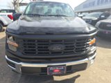 New 2025 Ford F150 XL w/ Equipment Group 103A High image 2