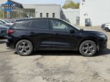 Used 2024 Ford Escape ST-Line image 4