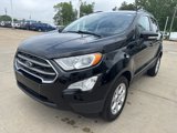 Used 2022 Ford EcoSport SE w/ SE Convenience Package image 3