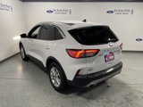 Used 2022 Ford Escape SE w/ Convenience Package image 4