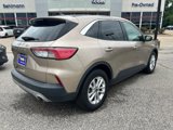 Used 2021 Ford Escape SE w/ Cold Weather Package image 3