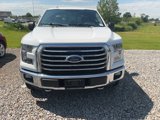 Used 2016 Ford F150 XLT w/ Equipment Group 302A Luxury image 2
