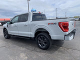 Used 2023 Ford F150 XLT image 6