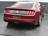 Used 2019 Ford Mustang Premium w/ Pony Package image 6