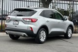 Used 2020 Ford Escape SE image 4