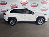 Used 2022 Toyota RAV4 LE image 6