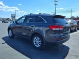 Used 2017 Kia Sorento LX w/ LX Convenience Package image 4