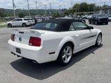 Used 2008 Ford Mustang GT Premium image 4