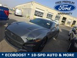Used 2021 Ford Mustang Coupe w/ Equipment Group 101A image 2