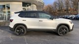 New 2025 Volkswagen Taos SE image 4