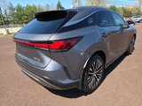 Certified 2023 Lexus RX 350 Premium Plus image 3