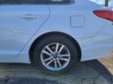 Used 2016 Hyundai Sonata SE w/ Cargo Package image 6