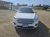 Used 2019 Ford Escape SE image 2