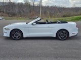 Used 2023 Ford Mustang Premium image 3