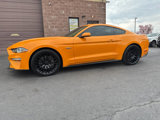 Used 2018 Ford Mustang GT w/ Equipment Group 301A image 2