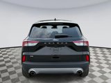 Used 2022 Ford Escape SE w/ Convenience Package image 3
