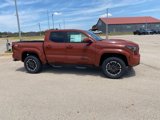 New 2025 Toyota Tacoma TRD Sport image 5