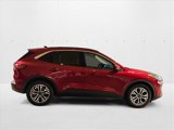 Used 2020 Ford Escape SEL image 4
