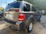 Used 2010 Ford Escape XLT image 5
