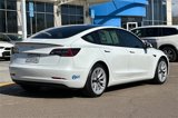 Used 2021 Tesla Model 3 Standard Range Plus image 5