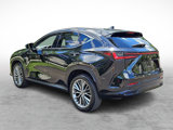 Certified 2023 Lexus NX 350 AWD w/ Luxury Package image 4