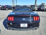 Certified 2022 Ford Mustang Premium image 4