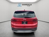 Used 2022 Hyundai Santa Fe Limited w/ Cargo Package image 4
