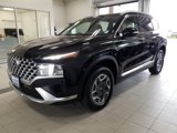 Used 2022 Hyundai Santa Fe Blue image 2