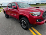 Used 2023 Toyota Tacoma TRD Sport image 5
