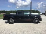Used 2010 Ford F150 Harley-Davidson image 2