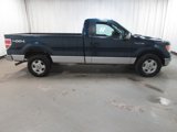 Used 2014 Ford F150 XLT w/ Equipment Group 301A Mid image 2